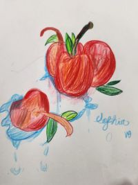 af-sample-10.jpg