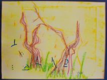 autumn-trees.jpg