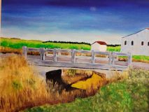 zbridges-peelee_islandont.jpg